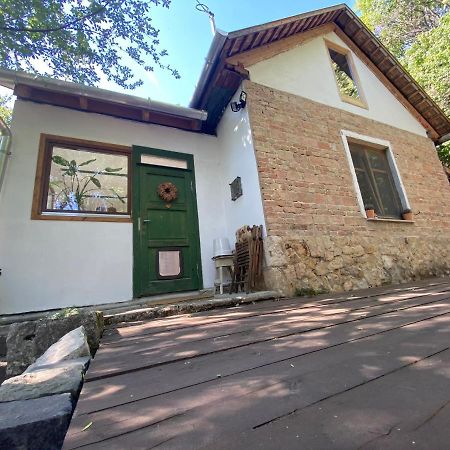 Rustic Cottage & Garden Retreat On Buda Hilltop Budapest Extérieur photo