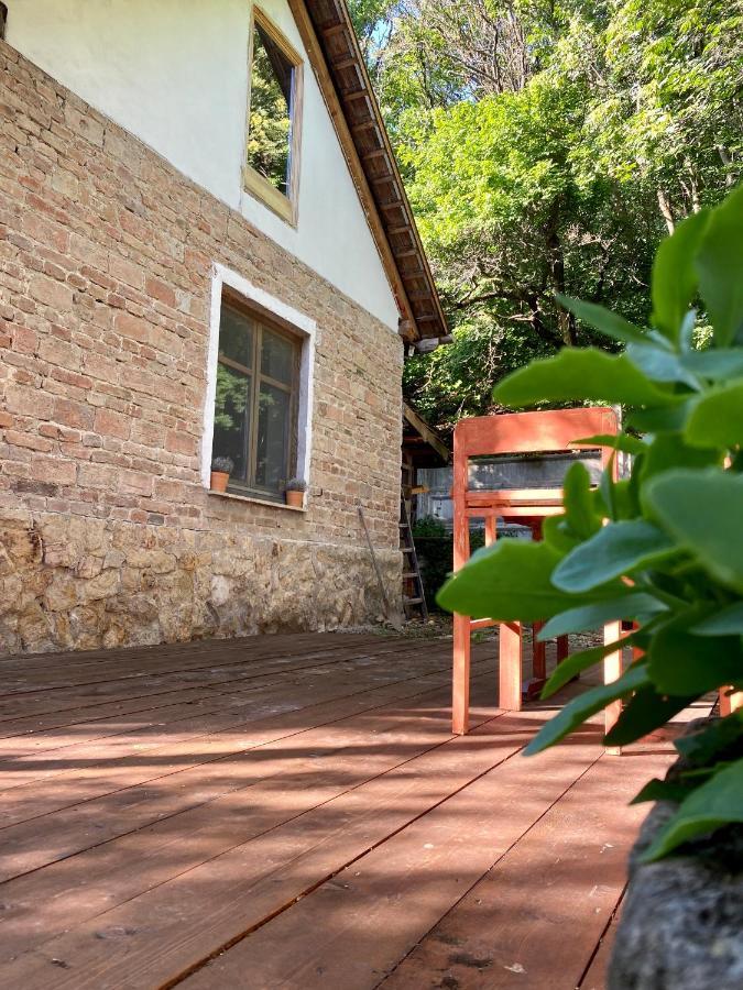 Rustic Cottage & Garden Retreat On Buda Hilltop Budapest Extérieur photo