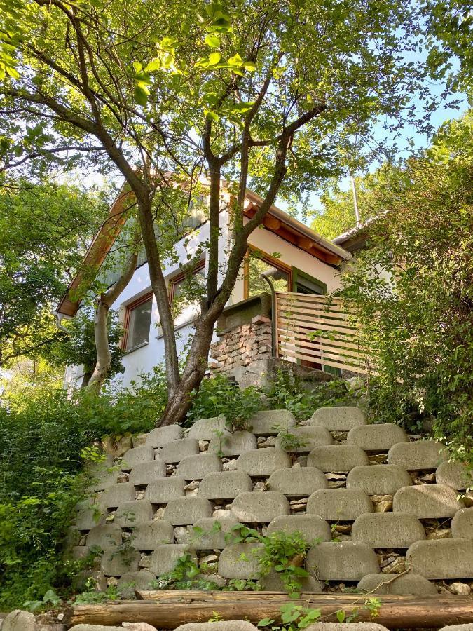 Rustic Cottage & Garden Retreat On Buda Hilltop Budapest Extérieur photo